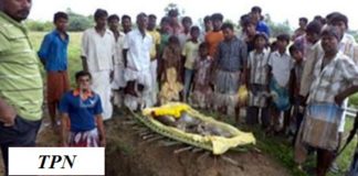 யாழில் இறுதி சடங்கில் ஏற்பட்ட கத்தி குத்தில்! ஐவர் படுகாயம் யாழில்