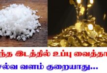 இந்த இடத்தில் உப்பு வைத்தால் வீட்டில் செல்வம் அதிகரித்து கொண்டே செல்லுமாம்!