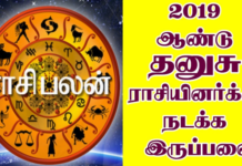 புத்தாண்டு பலன் – 2019 தனுசு!