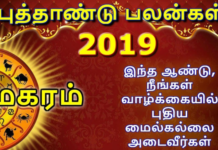 புத்தாண்டு பலன் – 2019 மகரம்!