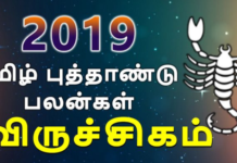 புத்தாண்டு பலன் – 2019 விருச்சிகம்!