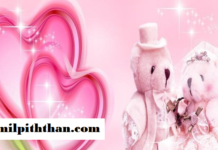 பிங்க் நிறத்தை விரும்புபவர்களை காதலிக்கிறீர்களா! அவர்கள் இப்படி தான் இருப்பார்களாம்!