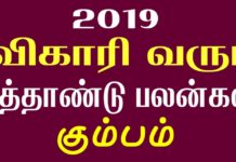 கும்பம் – விகாரி வருட பலன்கள் 2019-2020 !