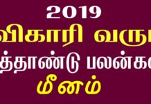 மீனம் – விகாரி வருட பலன்கள் 2019-2020 !
