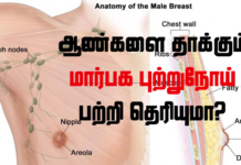 ஆண்களை தாக்கும் மார்பக புற்றுநோய் பற்றி தெரியுமா?