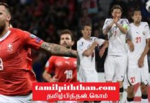 ஐரோப்பிய கால்பந்து சாம்பியன் ஷிப் போட்டியில் சுவிற்சர்லாந்தும் டென்மார்க் அணிகள் தகுதி! சாம்பியன் ஷிப்
