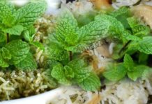 சுவையான புதினா புலாவ் செய்வது எப்படி