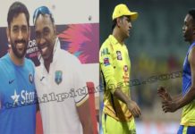 தோனிக்காக  புதிய பாடல் எழுதும் பிராவோ, செம குஷியில் ரசிகர்கள்.