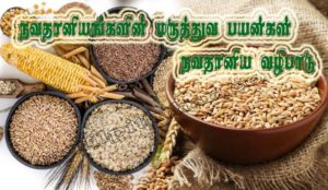 நவதானியம் Navathaniyam Types Of Grains Name Navathaniyam In Tamil