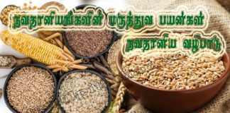 நவதானியம் Navathaniyam Types Of Grains Name Navathaniyam In Tamil Navadhaniyam பெயர்கள் Navathaniyam