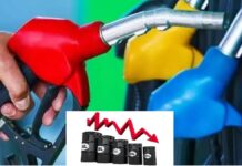 petroleum prices down