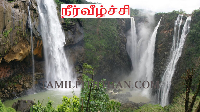 நீர் வீழ்ச்சி (அருவி) Neer Veelchi (Aruvi) Waterfall (Tamilpiththan kavithai-37) Tamil Kavithai Lyrics