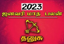 தனுசு ராசிக்காரர்களுக்கான தை (ஜனவரி) மாத ராசி பலன்! தனுசு