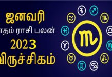 விருச்சிகம் ராசிக்காரர்களுக்கான தை (ஜனவரி) மாத ராசி பலன்! விருச்சிகம்