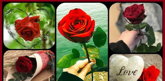 Haiku Kavithaikal Tamil ஹைக்கூ கவிதைகள் Tamil Kavithai Lyrics (Tamilpiththan kavithaigal-42)